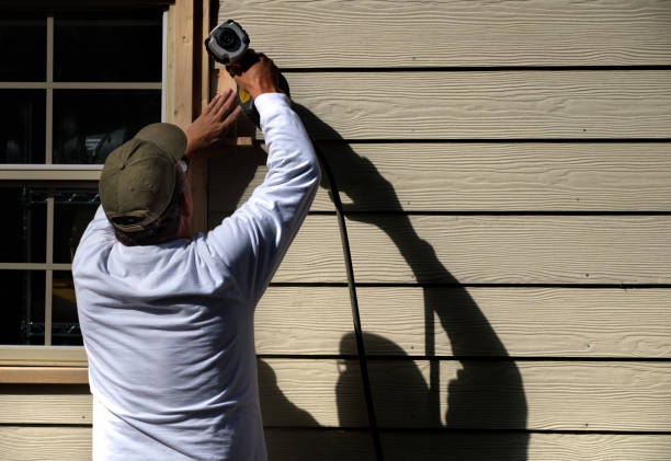 Best Siding Removal and Disposal  in Hickory Hls, IL